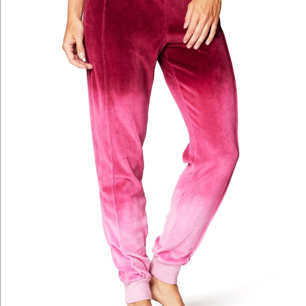 Electric & Rose Chase Velour Pant